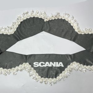 PARASOL TG SCANIA GRIS