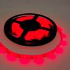 TIRA LED TG ULTRA SMD 5 MTS ROJO