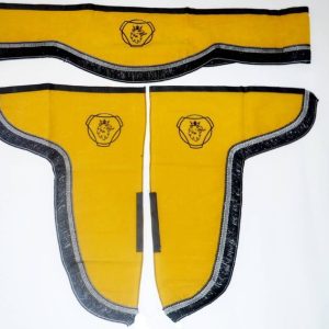 PARASOL+LATERALES TG SCANIA AMARILLO