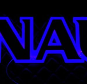 LUMINOSO CALANDRA RENAULT LETRAS AZUL