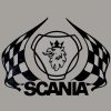 ADHESIVO LAT.CABINA SCANIA GRIFON BANDERA
