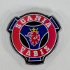 LOGOTIPO SCANIA VABIS LUMINOSO 12/24V. ROJO L/A