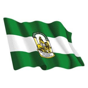 ADHESIVO BANDERA ANDALUCIA PEQ. 6X8 CM