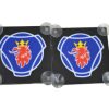 LUMINOSO SCANIA GRIFFON 2 UND